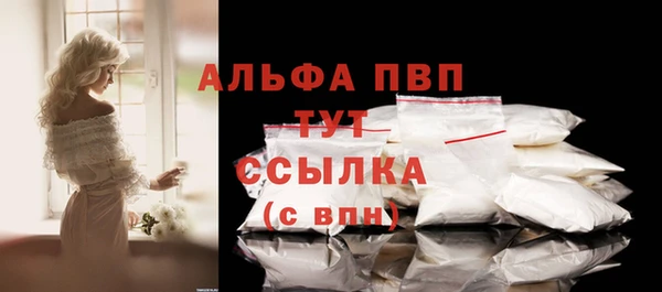 сатива Богданович