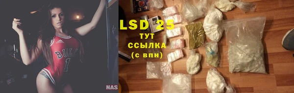 сатива Богданович