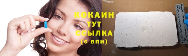 сатива Богданович