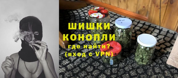 сатива Богданович