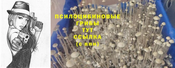 альфа пвп Тында