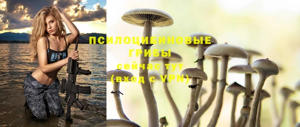 экстази Богородск