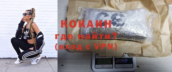 сатива Богданович